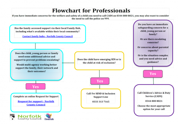 Safeguarding Policy -- Flowchart for Professionals